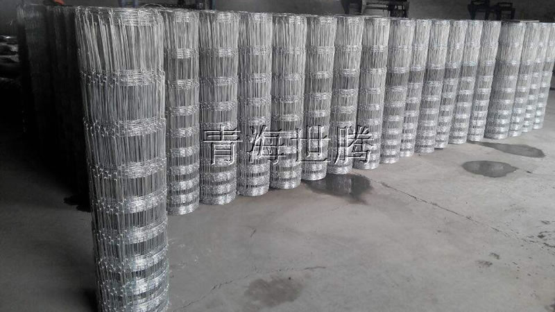 草原<a href='http://m.jiawangshuidian.cn/hulanwangxilie/page_2.html'target='_blank'>護欄網</a>.jpg